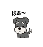 シュナウザーのきもち2（個別スタンプ：9）