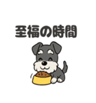 シュナウザーのきもち2（個別スタンプ：10）
