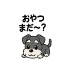 シュナウザーのきもち2（個別スタンプ：11）