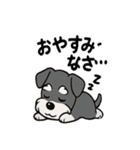 シュナウザーのきもち2（個別スタンプ：12）