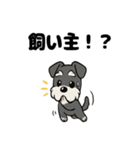 シュナウザーのきもち2（個別スタンプ：17）