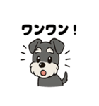 シュナウザーのきもち2（個別スタンプ：21）
