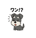 シュナウザーのきもち2（個別スタンプ：22）