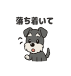 シュナウザーのきもち2（個別スタンプ：24）