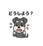 シュナウザーのきもち2（個別スタンプ：25）