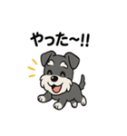 シュナウザーのきもち2（個別スタンプ：26）