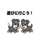 シュナウザーのきもち2（個別スタンプ：31）