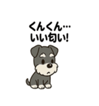シュナウザーのきもち2（個別スタンプ：33）