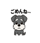 シュナウザーのきもち2（個別スタンプ：34）