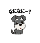 シュナウザーのきもち2（個別スタンプ：37）