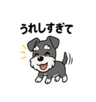 シュナウザーのきもち2（個別スタンプ：40）