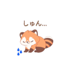レッサーパンダあいさつ（個別スタンプ：11）