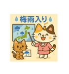 お灸ねこ・姫ちゃんの初夏・梅雨・夏（個別スタンプ：7）