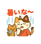 お灸ねこ・姫ちゃんの初夏・梅雨・夏（個別スタンプ：13）