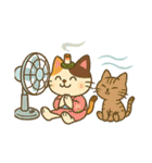 お灸ねこ・姫ちゃんの初夏・梅雨・夏（個別スタンプ：14）