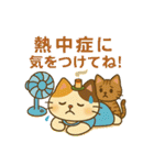 お灸ねこ・姫ちゃんの初夏・梅雨・夏（個別スタンプ：17）