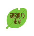葉っぱのスタンプ 敬語版（個別スタンプ：18）