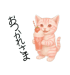推し猫【桃】……………（個別スタンプ：3）