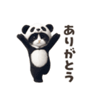 踊る！ネコ！着ぐるみVer（個別スタンプ：5）
