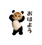 踊る！ネコ！着ぐるみVer（個別スタンプ：9）