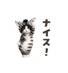 踊る！ネコ！着ぐるみVer（個別スタンプ：13）