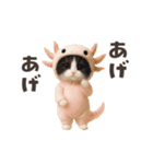 踊る！ネコ！着ぐるみVer（個別スタンプ：19）