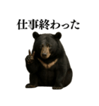 【爆笑】おもしろ台詞リアル熊の日常会話（個別スタンプ：2）