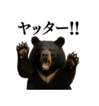【爆笑】おもしろ台詞リアル熊の日常会話（個別スタンプ：4）