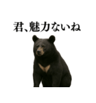 【爆笑】おもしろ台詞リアル熊の日常会話（個別スタンプ：6）