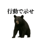 【爆笑】おもしろ台詞リアル熊の日常会話（個別スタンプ：7）