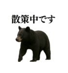 【爆笑】おもしろ台詞リアル熊の日常会話（個別スタンプ：8）