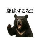 【爆笑】おもしろ台詞リアル熊の日常会話（個別スタンプ：15）