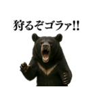 【爆笑】おもしろ台詞リアル熊の日常会話（個別スタンプ：17）