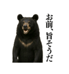【爆笑】おもしろ台詞リアル熊の日常会話（個別スタンプ：19）