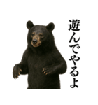 【爆笑】おもしろ台詞リアル熊の日常会話（個別スタンプ：22）
