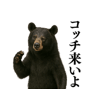【爆笑】おもしろ台詞リアル熊の日常会話（個別スタンプ：23）