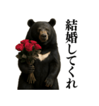 【爆笑】おもしろ台詞リアル熊の日常会話（個別スタンプ：24）