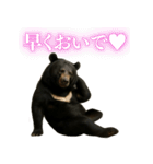【爆笑】おもしろ台詞リアル熊の日常会話（個別スタンプ：28）