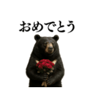【爆笑】おもしろ台詞リアル熊の日常会話（個別スタンプ：29）