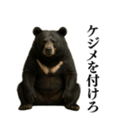 【爆笑】おもしろ台詞リアル熊の日常会話（個別スタンプ：30）