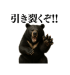 【爆笑】おもしろ台詞リアル熊の日常会話（個別スタンプ：31）