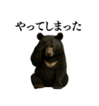 【爆笑】おもしろ台詞リアル熊の日常会話（個別スタンプ：33）
