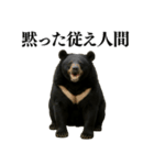 【爆笑】おもしろ台詞リアル熊の日常会話（個別スタンプ：34）