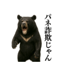 【爆笑】おもしろ台詞リアル熊の日常会話（個別スタンプ：35）