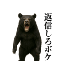 【爆笑】おもしろ台詞リアル熊の日常会話（個別スタンプ：36）