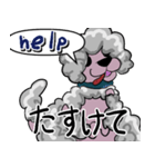 トイプードルのモコモコ、プーちゃん。（個別スタンプ：16）