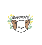 わため（個別スタンプ：3）