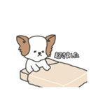 わため（個別スタンプ：7）