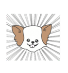 わため（個別スタンプ：12）