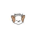 わため（個別スタンプ：13）